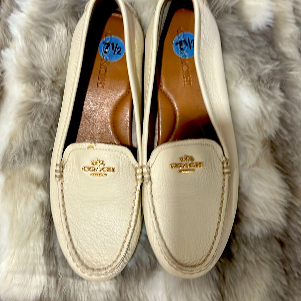 Coach slides